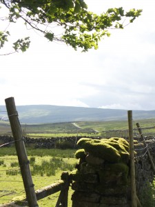 daleshol2012  049