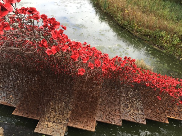 Ceramic Poppies